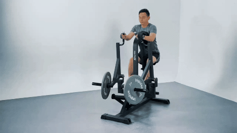 IFP GIF.gif